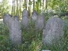Głogówek. Leśne ścieżki wyprowadziły nas z rzecznej doliny w górę, a następnie na teren kirkutu.