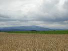 Widok na góry.