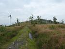 Poszliśmy przez Srebrną Górę (Velká stříbrná 785 m).