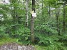 ... kolejne podejście było na Zamkową Górę (571 m).