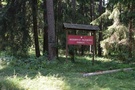 Rezerwat Perkuć.