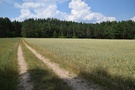 Doszliśmy do Nowego Lipska.