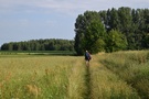 Mijając pastwiska pełne koni wyszliśmy na trasę.