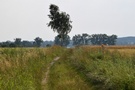 Z łąk i pól rozprzestrzeniał się niesamowity widok.