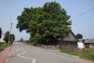Szuszalewo. Po drodze minęliśmy kilka pięknych starych drewnianych domów...