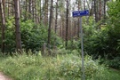 Leśne krzyże.