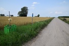 Skręciliśmy w lewo, w prostą drogę bez kawałka drzewa, wokół tylko łany zbóż albo pola kukurydzy, a upał jak co dzień coraz większy.