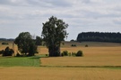 Przez Boguszowski Wygon zawędrowaliśmy do Boguszy