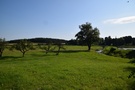 Sokołda w Kuryłach.