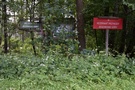 Dłuższy czas szliśmy wzdłuż rezerwatu „Jesionowe Góry”...