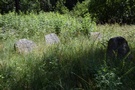 Wasilków. Macewy zgromadzone zostały w lapidarium.
