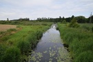 Osiek. Mierzęcka Struga.