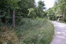 W osadzie Kawki powinniśmy trafić na czerwony szlak, to ten który "widzieliśmy" pierwszego dnia.