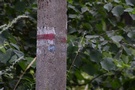 W osadzie Kawki powinniśmy trafić na czerwony szlak, to ten który "widzieliśmy" pierwszego dnia.