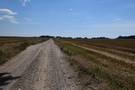 Kawałek dalej niestety las się skończył i już do końca szliśmy otwartym terenem.