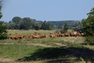 Rezerwat "Santockie Zakole". To zapewne rezerwatowe kosiarki.