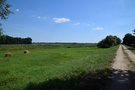 Szutrówka doprowadziła nas do wału nad Wartą.