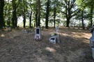 Boryszyn. Weszliśmy na cmentarz składający się z dwóch części: starej przedwojennej i obecnie użytkowanej.
