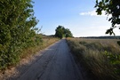 Za wsią, koło jeziora Wągieł, wreszcie zeszliśmy z asfaltu skręcając w polną drogę.