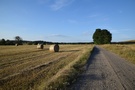 Za wsią, koło jeziora Wągieł, wreszcie zeszliśmy z asfaltu skręcając w polną drogę.
