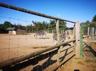Mostki. Zwiedziliśmy mini Zoo znajdujące się obok noclegu.