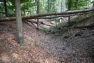 Dotarliśmy do położonego na dużym półwyspie grodziska Niesulice.