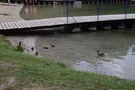 Niesulice. Po moczeniu nóg...