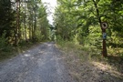 Jezioro Lubniewsko... i drogą biegnącą wzdłuż dawnej linii kolejowej...