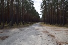 Dłuższy odcinek maszerowaliśmy prostą drogą.