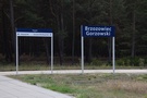 Brzozowiec. Poszliśmy na stację czekać na pociąg.