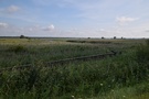 ... skręcając w ścieżkę spacerową początkowo poprowadzoną drewnianymi pomostami.