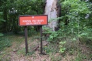 Doszliśmy do starego, chyba już zapomnianego cmentarza, który znajdował się na górce przy drodze nad małym zalewem, pewnie kiedyś młyńskim. 