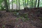 Trafiliśmy na nikłe ruiny prawdopodobnie dawnej leśniczówki bohlswalde. 