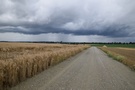 Znajdujcy si przed nami wa czarnych chmur nie dawa nam spokoju.