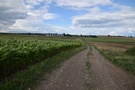 aziszcze.