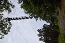 Zwierzyniec 167 m n.p.m. Zlokalizowana na wierzchołku wieża Czarny Bocian - dostrzegalnia przeciwpożarowa Lasów Państwowych.