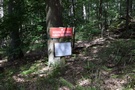 Wzdłuż rezerwatu "Dąbrowa Krzymowska"...