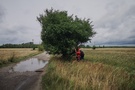 Trasę urozmaicały nam rosnące wzdłuż niej liczne owocowe drzewa, z których korzystaliśmy.
