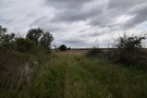 Za wsią skręciliśmy w polną drogę, którą dawno nikt nie jeździł. Ale lepsza taka droga niż asfalt, zwłaszcza, że była malownicza.