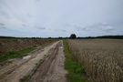 Wzdłuż polnej drogi, którą szliśmy, akurat wkopywano rury do nawadniania upraw, potężna inwestycja. 