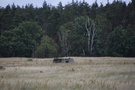 Wczeniej na mapie wypatrzylimy, e znajduje si w tym miejscu podstawa radaru Luftwaffe FuMG-65 Wrzburg-Riese...