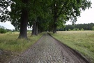 Do Ostrowca weszliśmy charakterystyczną dla tego regionu brukowaną drogą.