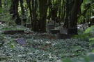 Wierzbnica. Zwiedziliśmy tu dosyć duży, stary cmentarz, jego środek jest gęsto porośnięty bluszczem.