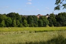 Lipiany, Półwysep Storczyków. Niestety, widok na miasto i jezioro ze Wzgórza Grodowego, który pamiętaliśmy, całkowicie zarósł.
