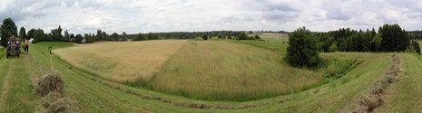 Grodzisk, grodzisko.