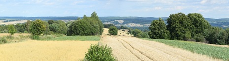 Szczebrzeszyn. Na szlaku rowerowym 1.