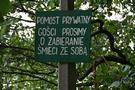 Jezioro Tuczno. Po drodze weszliśmy na pomost, z którego widać było kościół.