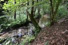 Kolejną atrakcją na trasie było przejście przez Słopicę łączącą jeziora Krzywe Dębsko i Dominikowskie.