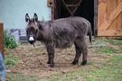 Ognica. Pożegnaliśmy się całym tutejszym ZOO, które można było podziwiać przy agroturystyce.