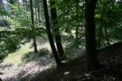 Grodzisko Kozy z szosy jest mało widoczne, ale gdy się na nie wejdzie, to można podziwiać wyraźny pierścień obwałowań ze stromymi stokami.